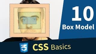 box-model